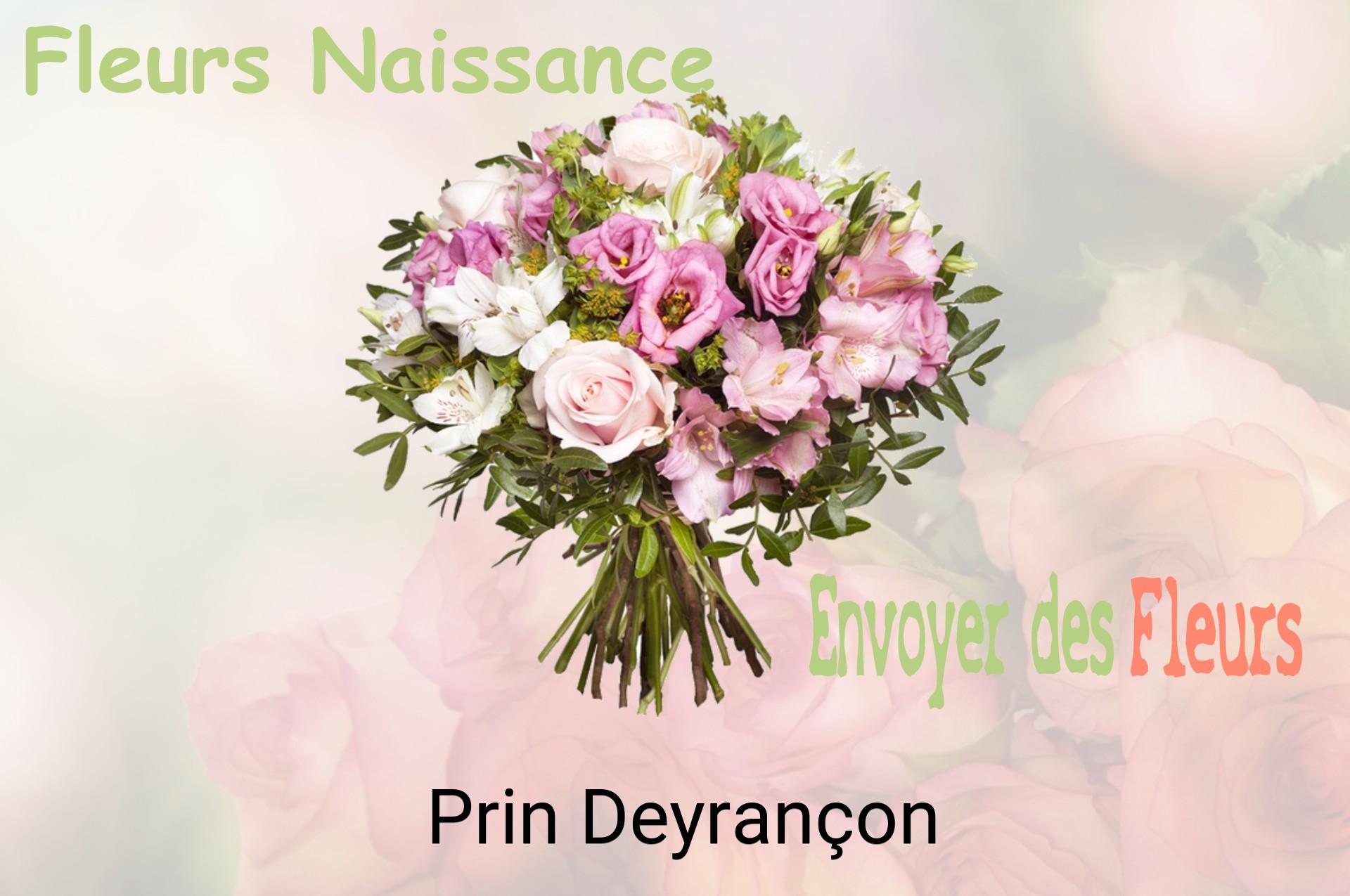 Bouquet de fleurs de naissance livré à Prin-Deyrançon